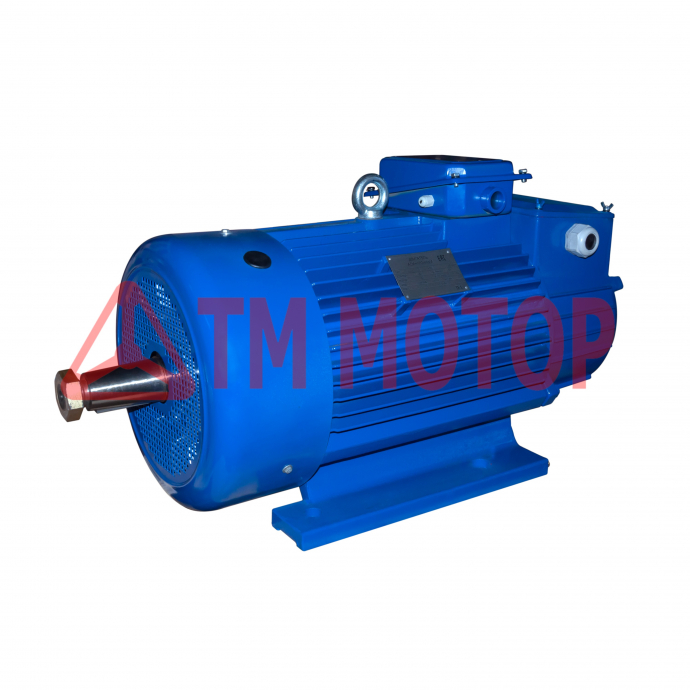 Электродвигатель  (MTH 411-6) крановый 22 кВт 1000 об/мин Лапа (IM 1003)