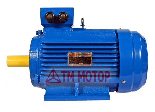 Электродвигатель 4кВт 1000об/мин АИР112MB6 (B3/Лапы)