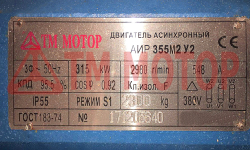 Электродвигатель 315кВт 3000об/мин АИР355M2 (B35/Лапы+фланец)