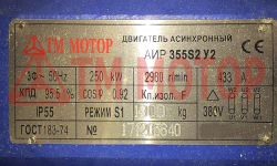 Электродвигатель 250кВт 3000об/мин АИР355S2 (B3/Лапы)